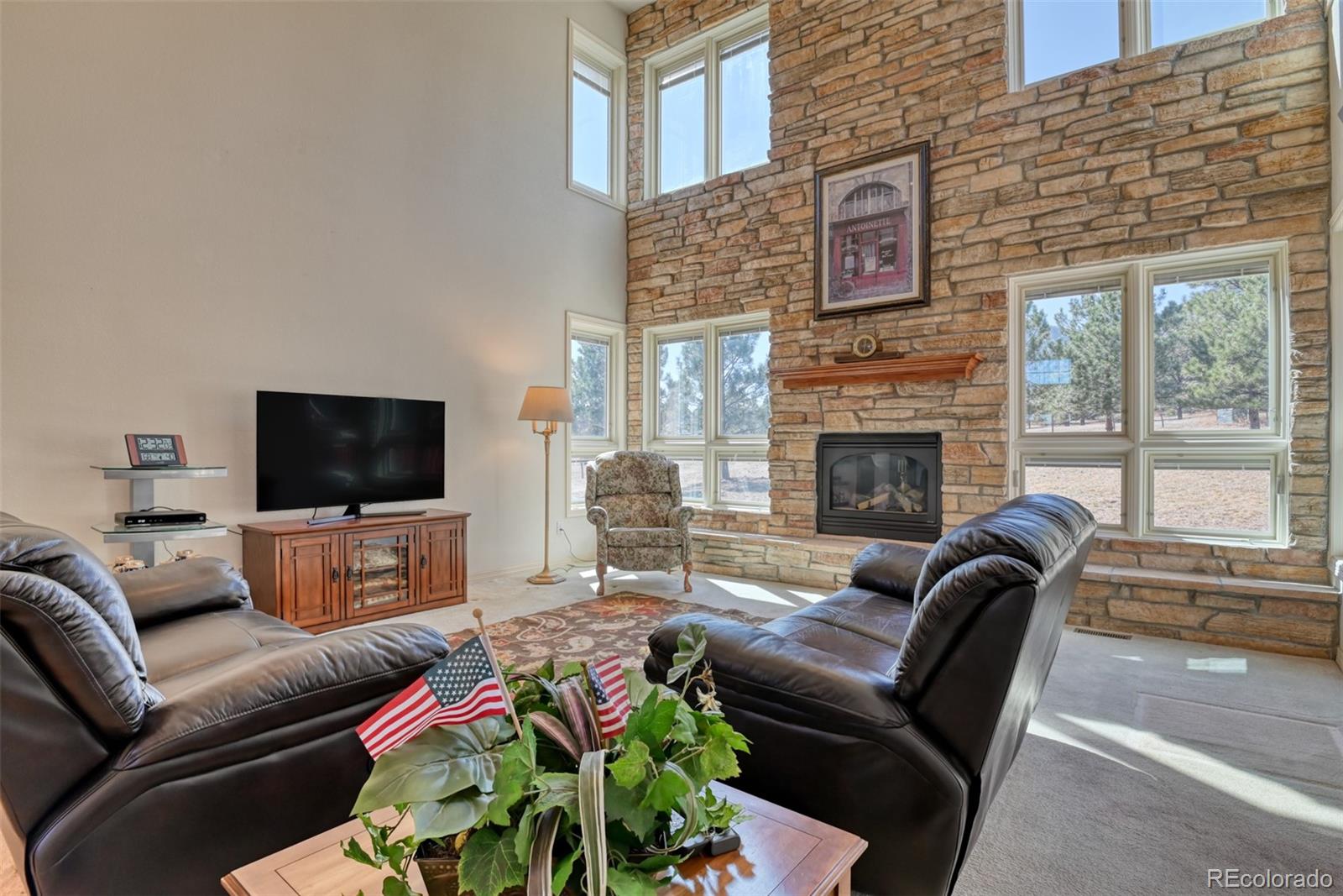 MLS Image #13 for 772  douglas avenue,palmer lake, Colorado