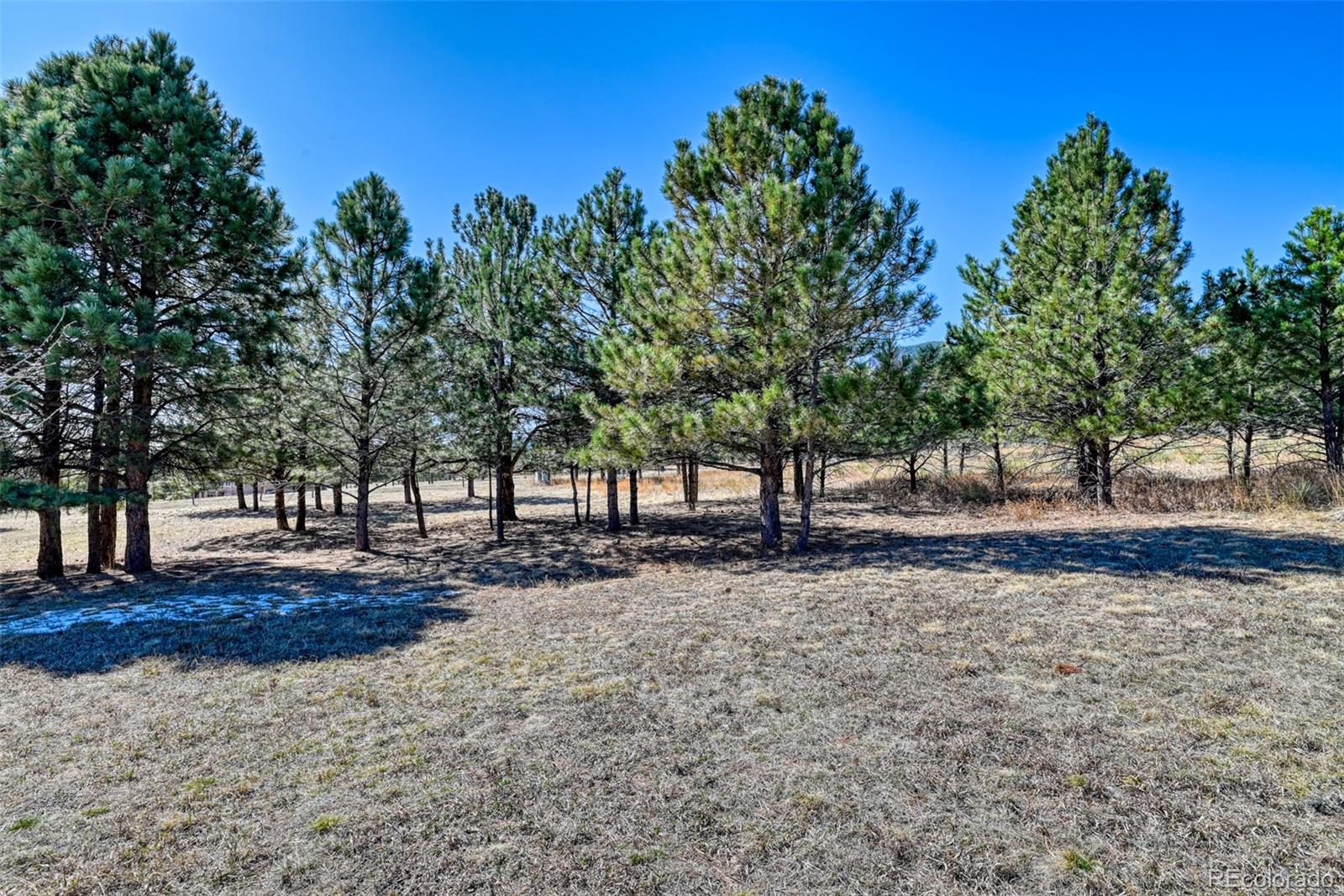 MLS Image #38 for 772  douglas avenue,palmer lake, Colorado