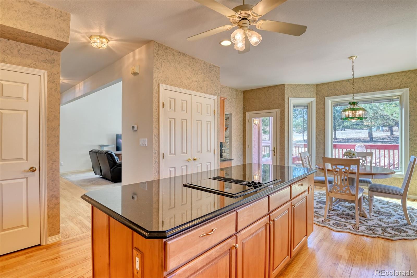 MLS Image #9 for 772  douglas avenue,palmer lake, Colorado