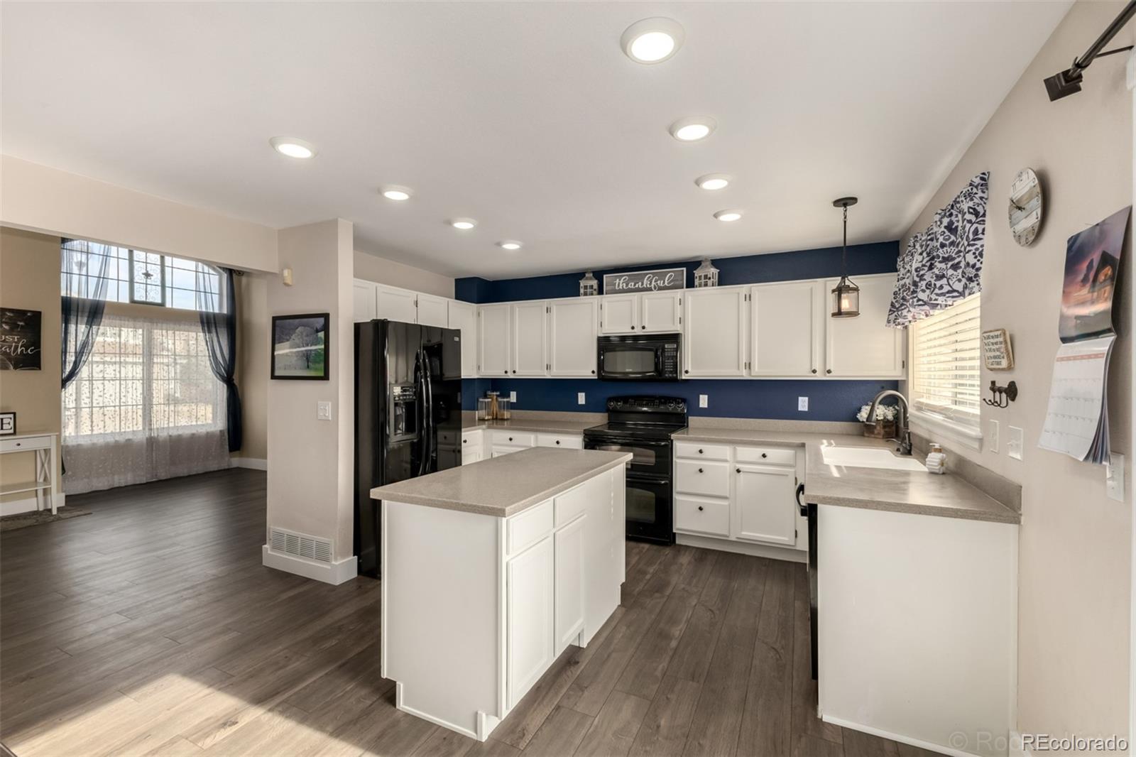 MLS Image #11 for 8894  miners street,highlands ranch, Colorado