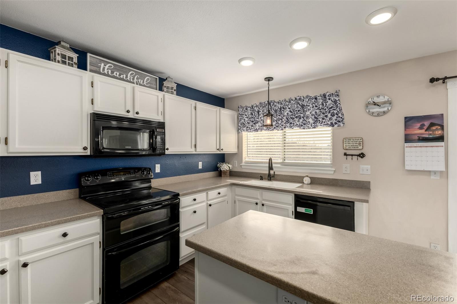 MLS Image #12 for 8894  miners street,highlands ranch, Colorado