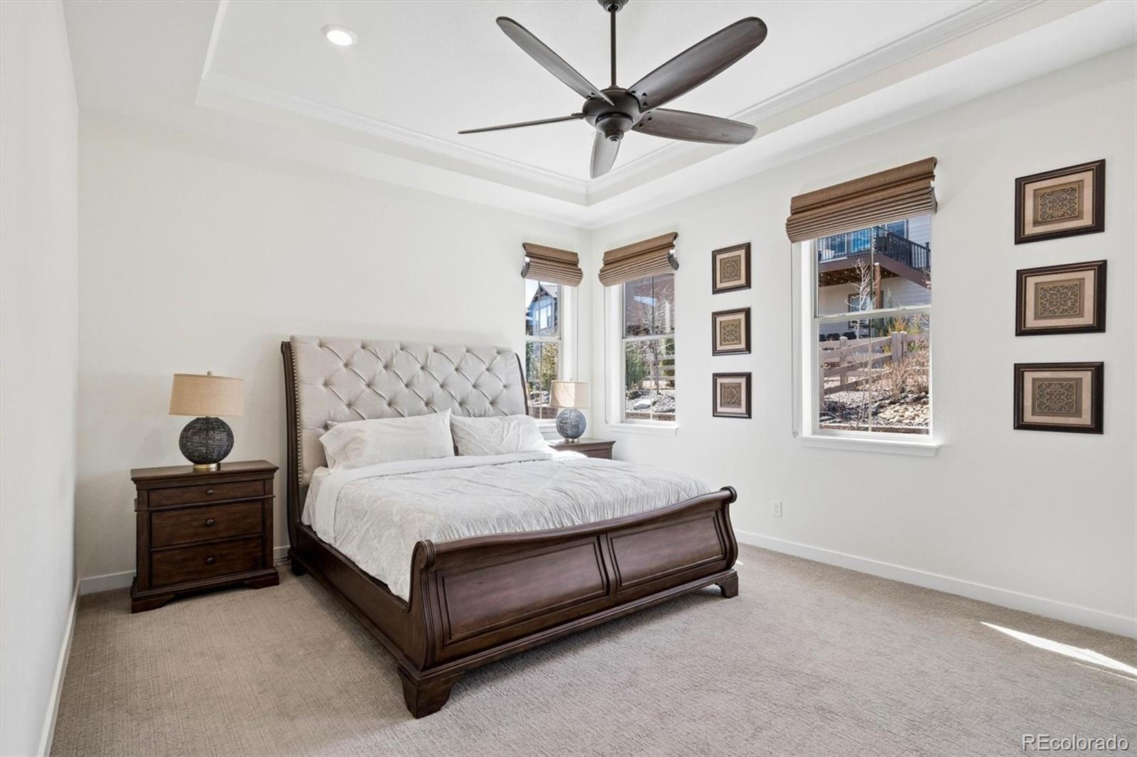 MLS Image #17 for 9551  eagle river street,littleton, Colorado