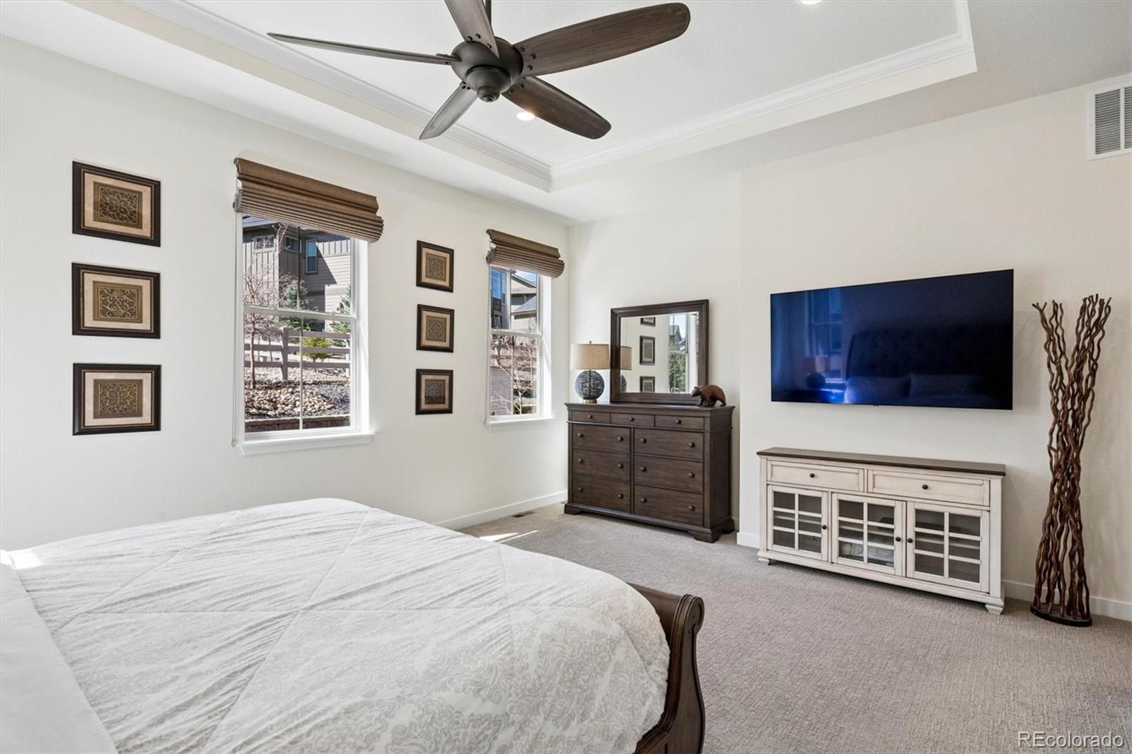 MLS Image #18 for 9551  eagle river street,littleton, Colorado
