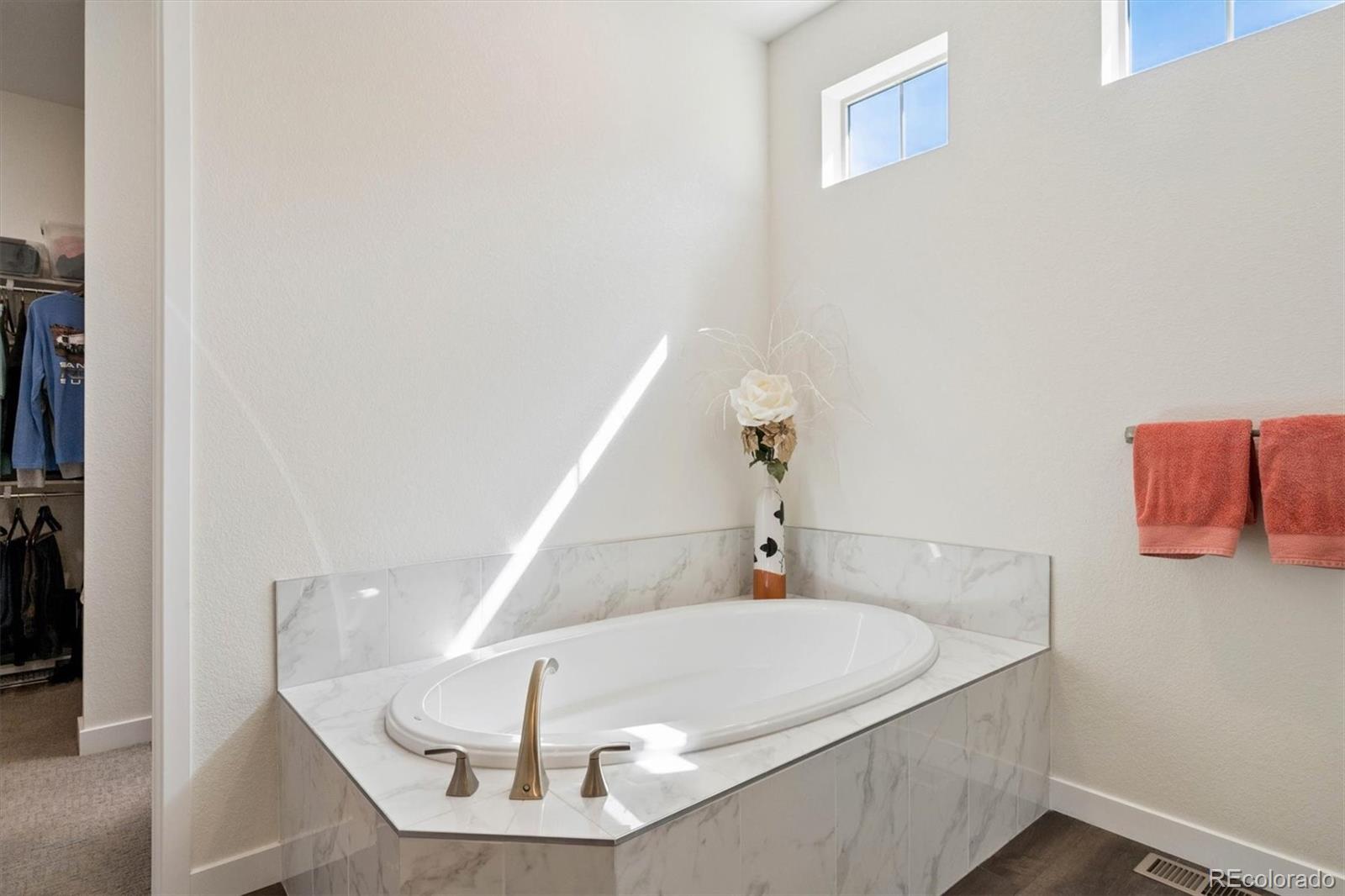 MLS Image #20 for 9551  eagle river street,littleton, Colorado