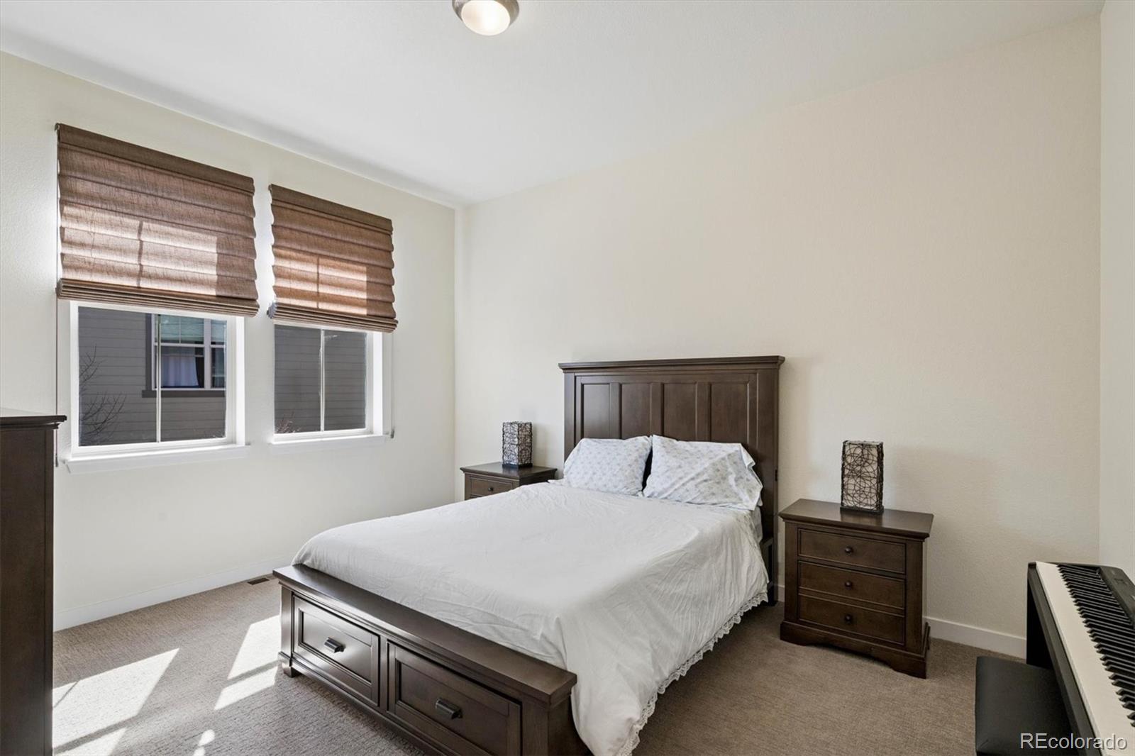 MLS Image #27 for 9551  eagle river street,littleton, Colorado
