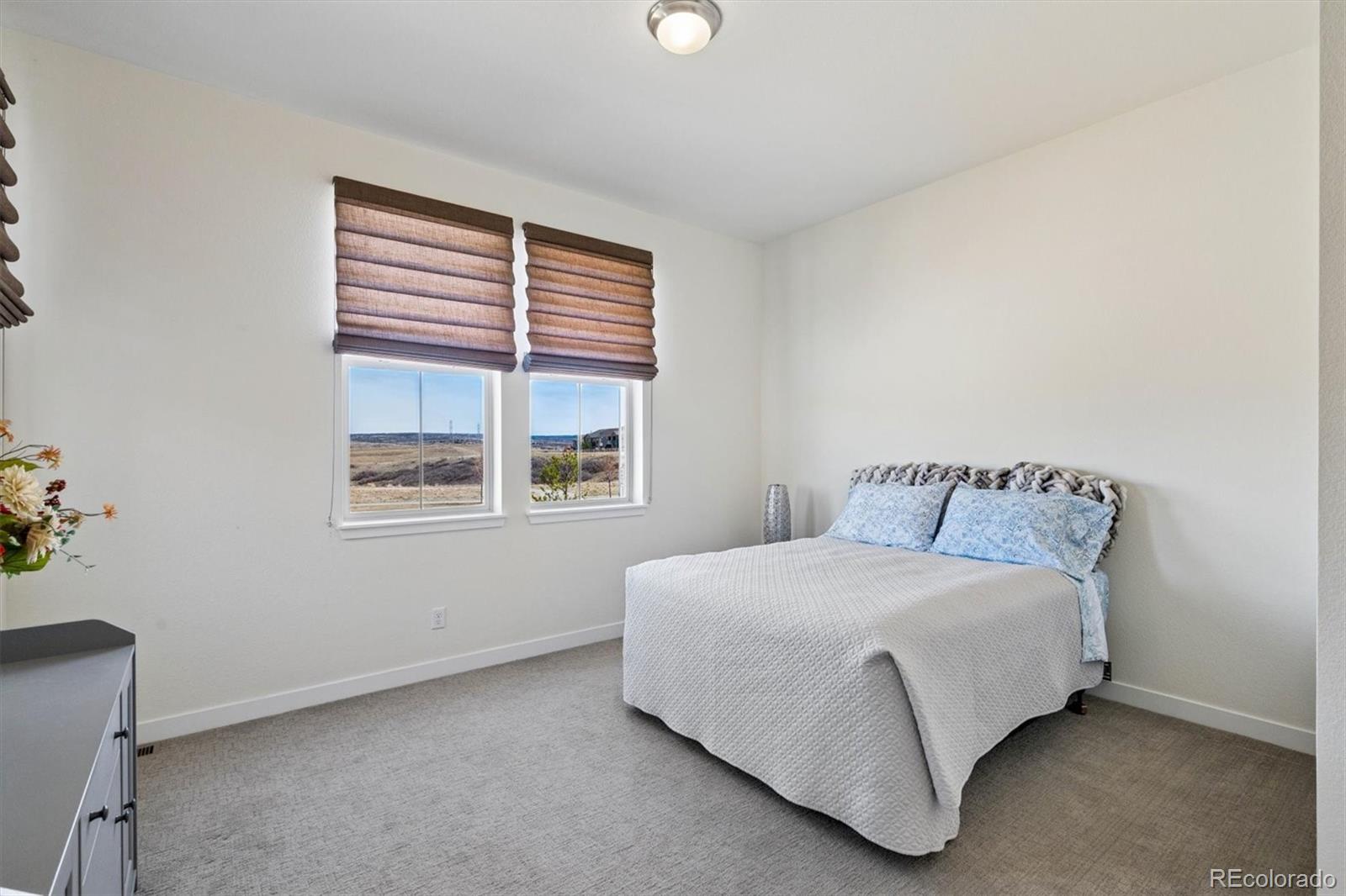 MLS Image #30 for 9551  eagle river street,littleton, Colorado