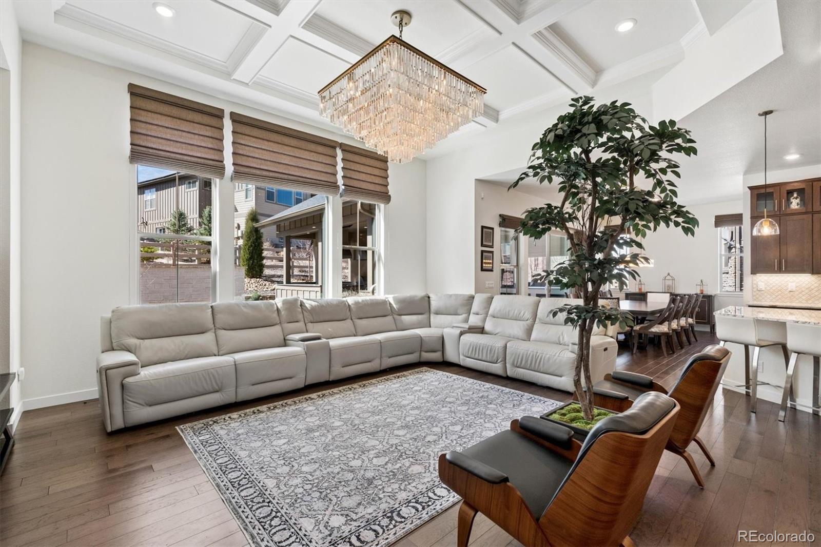 MLS Image #5 for 9551  eagle river street,littleton, Colorado