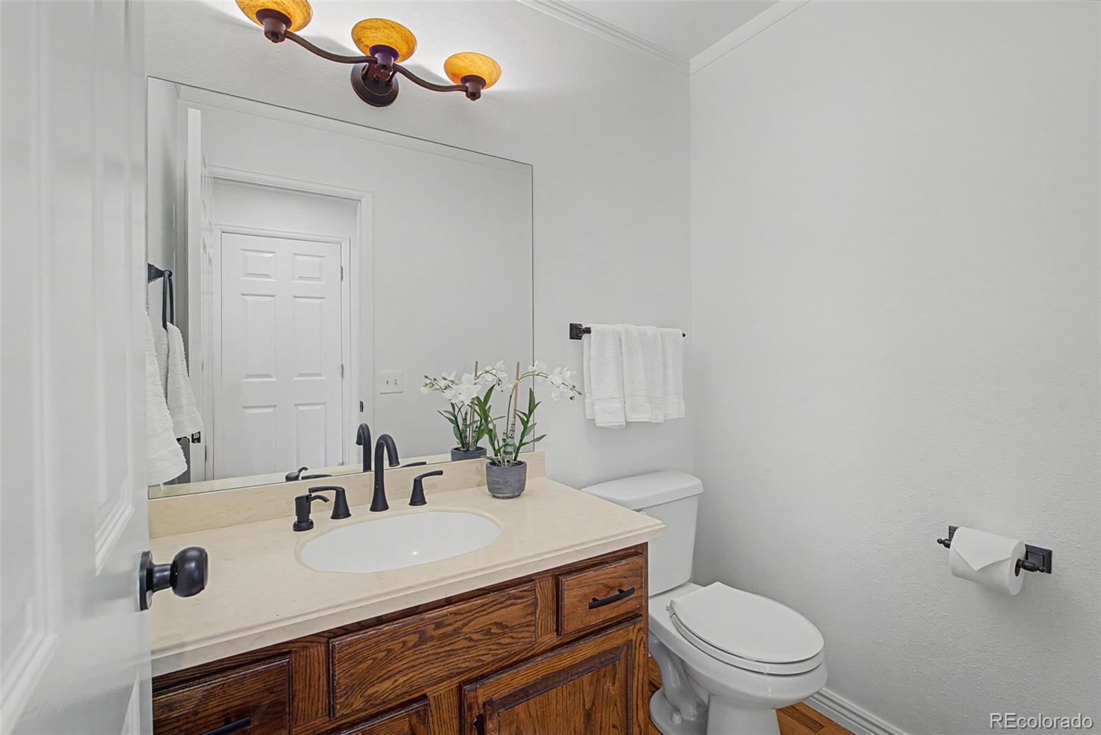 MLS Image #6 for 10681 w dakan mountain,littleton, Colorado