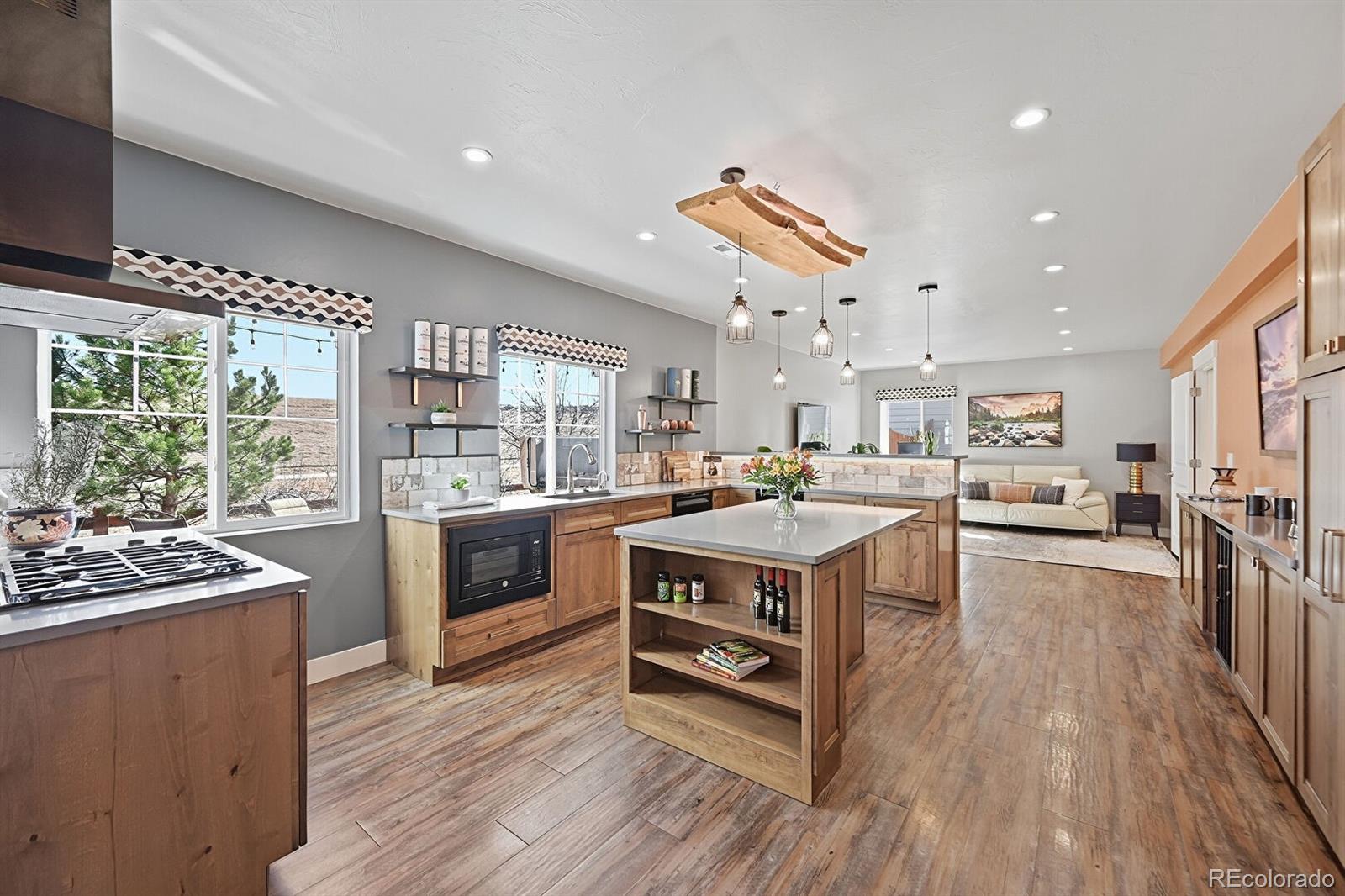 MLS Image #14 for 10216  isle street,parker, Colorado