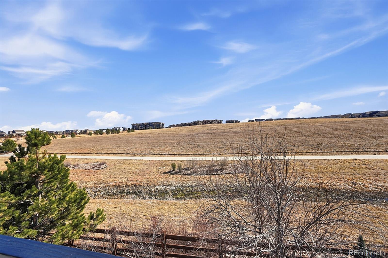 MLS Image #3 for 10216  isle street,parker, Colorado