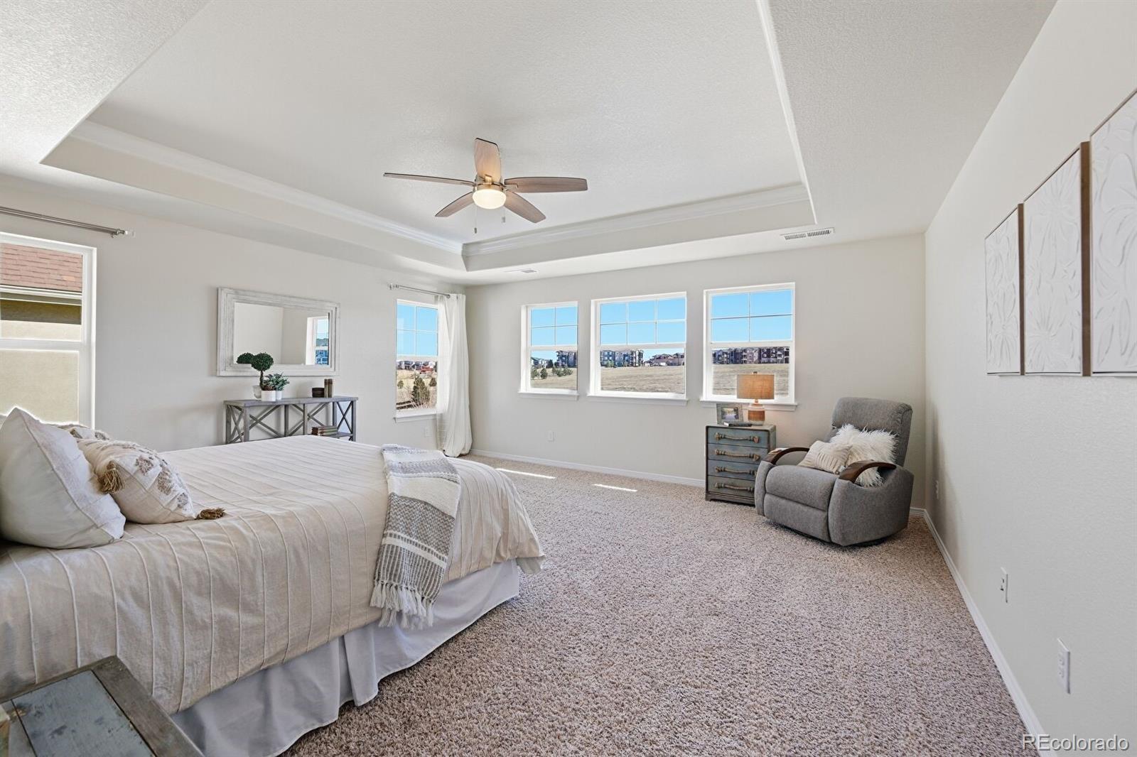 MLS Image #37 for 10216  isle street,parker, Colorado