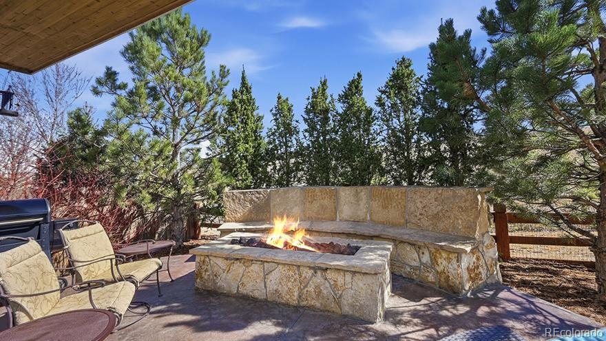 MLS Image #4 for 10216  isle street,parker, Colorado