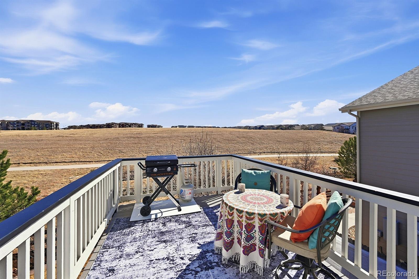 MLS Image #9 for 10216  isle street,parker, Colorado