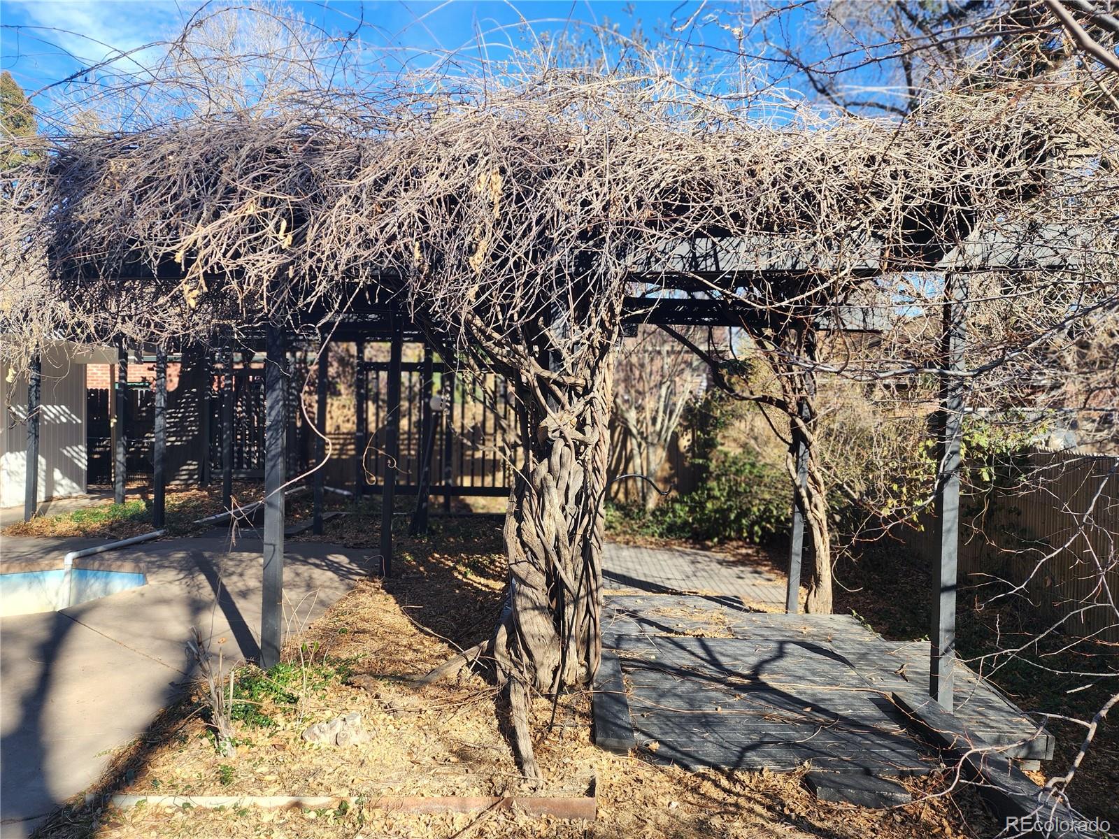MLS Image #13 for 5220 e 17th avenue parkway,denver, Colorado