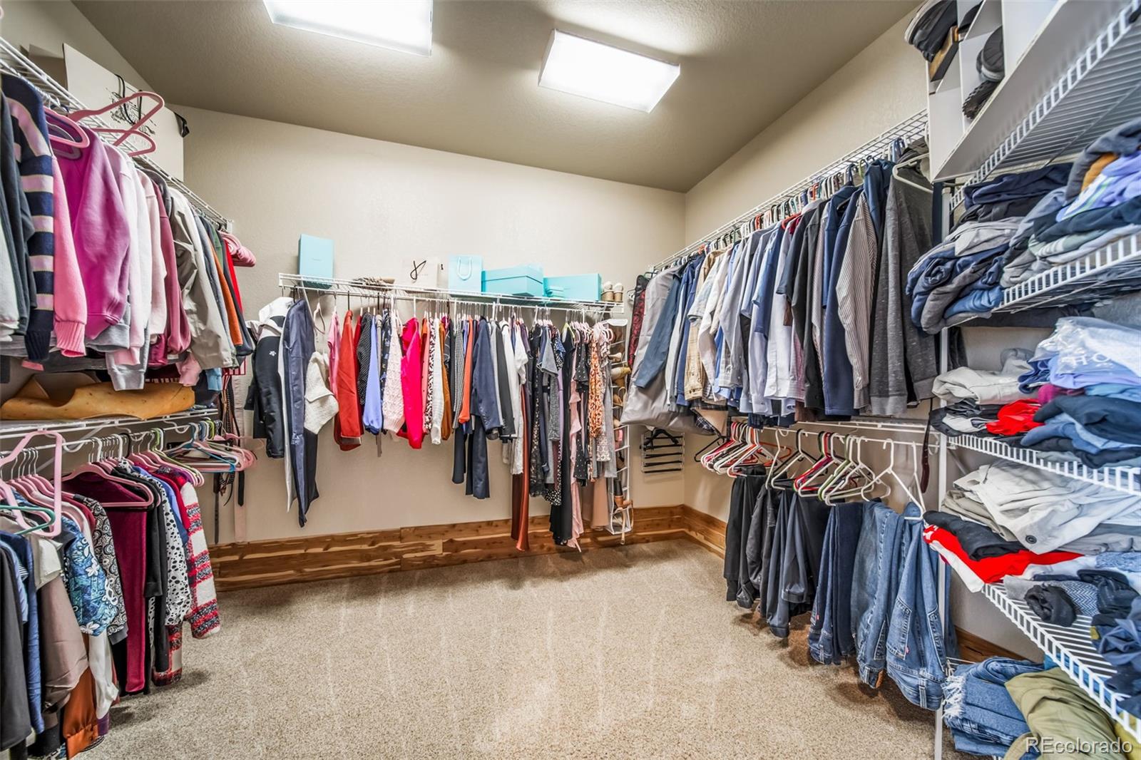 MLS Image #26 for 8537  winter berry drive,castle pines, Colorado