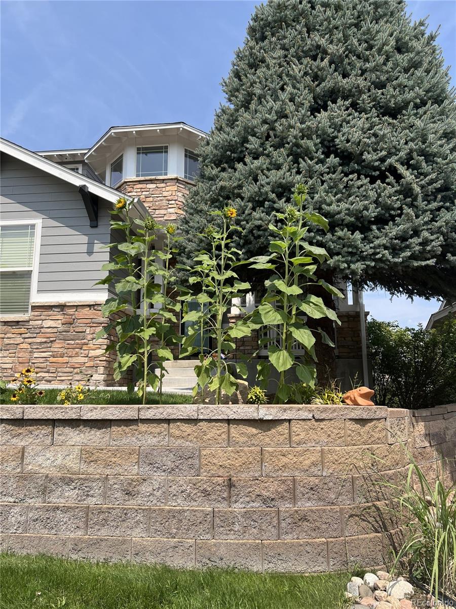 MLS Image #42 for 8537  winter berry drive,castle pines, Colorado