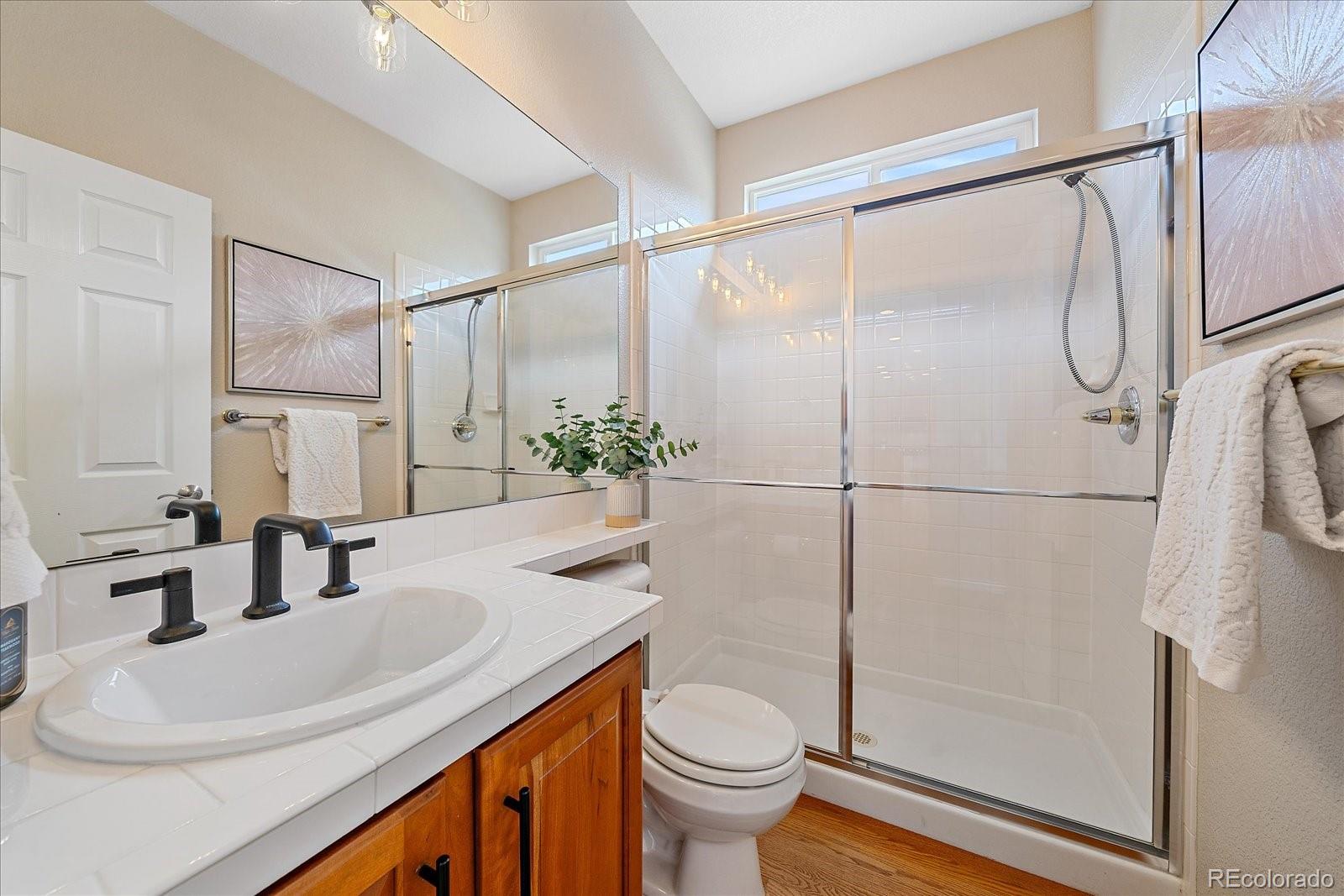 MLS Image #19 for 10811  chadsworth point,highlands ranch, Colorado