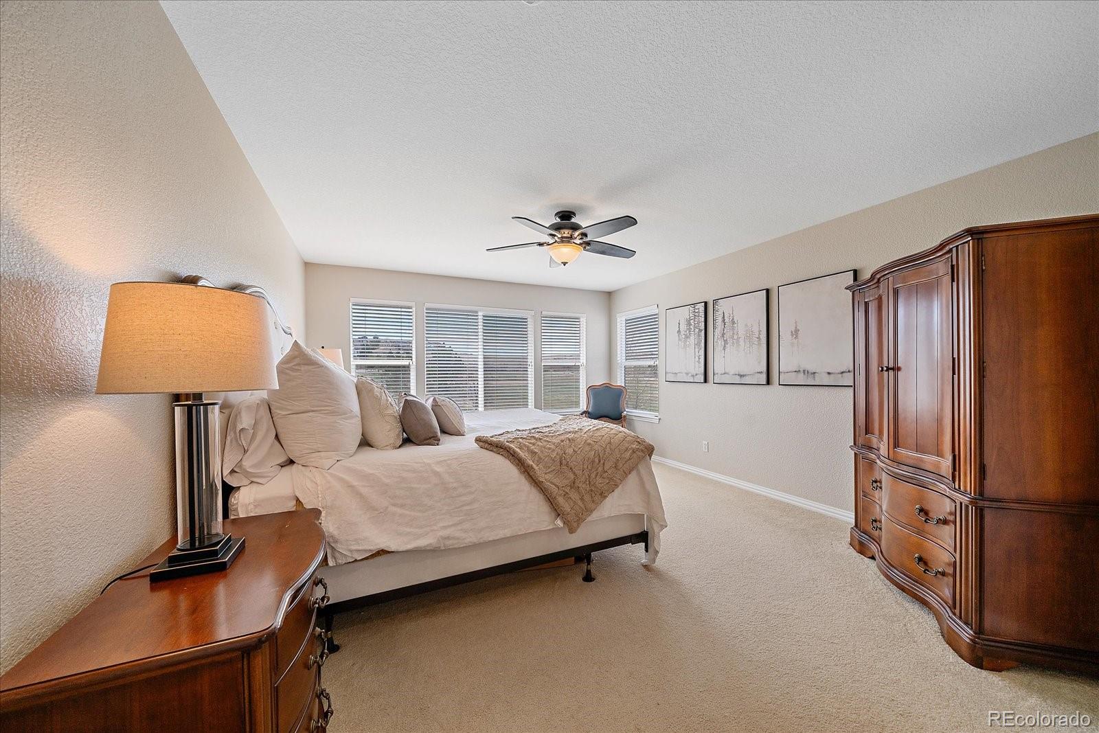 MLS Image #21 for 10811  chadsworth point,highlands ranch, Colorado