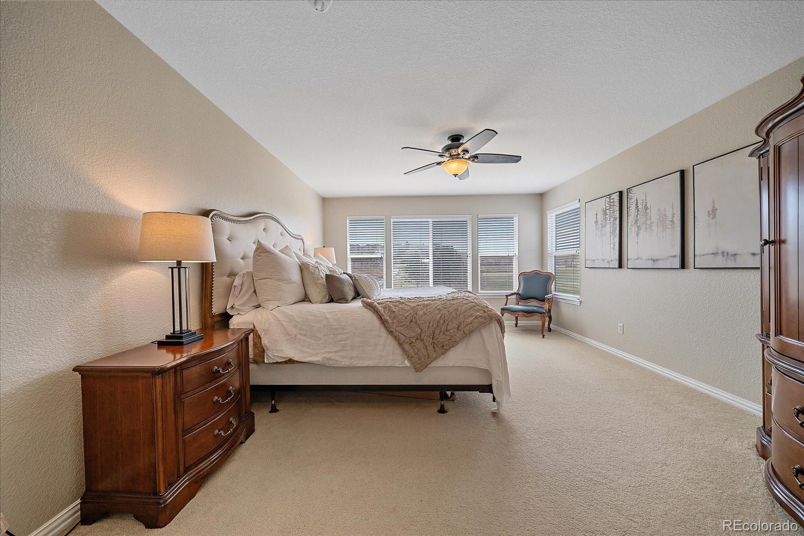 MLS Image #22 for 10811  chadsworth point,highlands ranch, Colorado