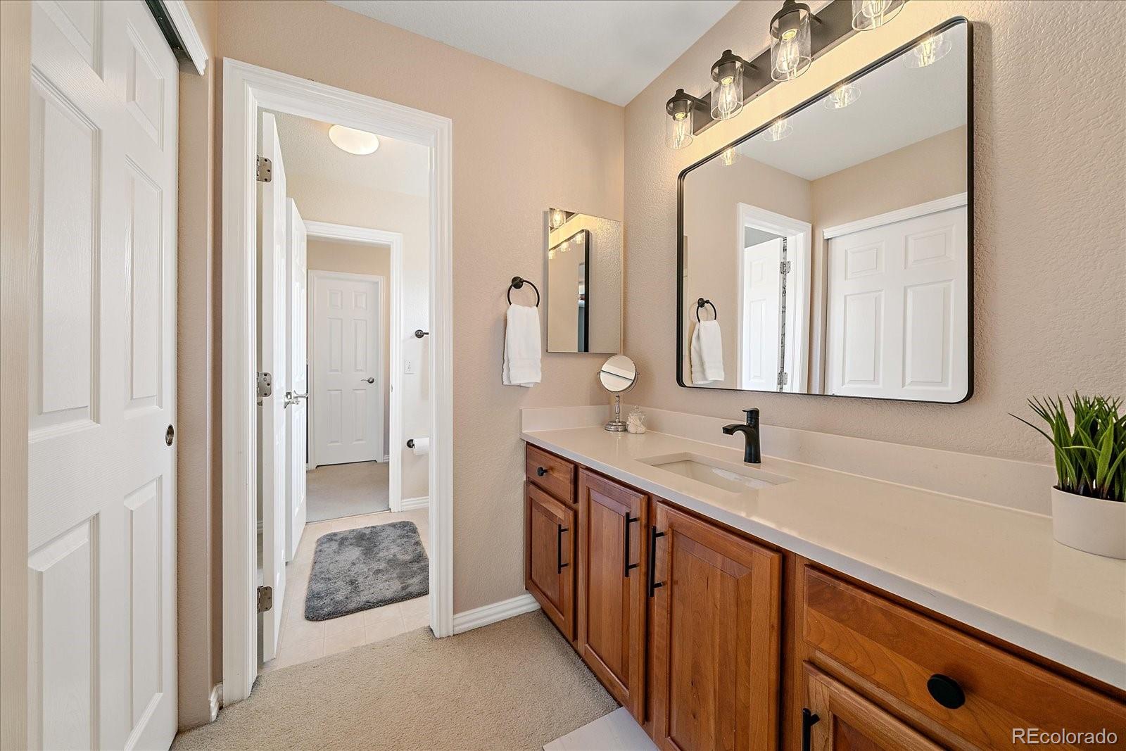 MLS Image #28 for 10811  chadsworth point,highlands ranch, Colorado