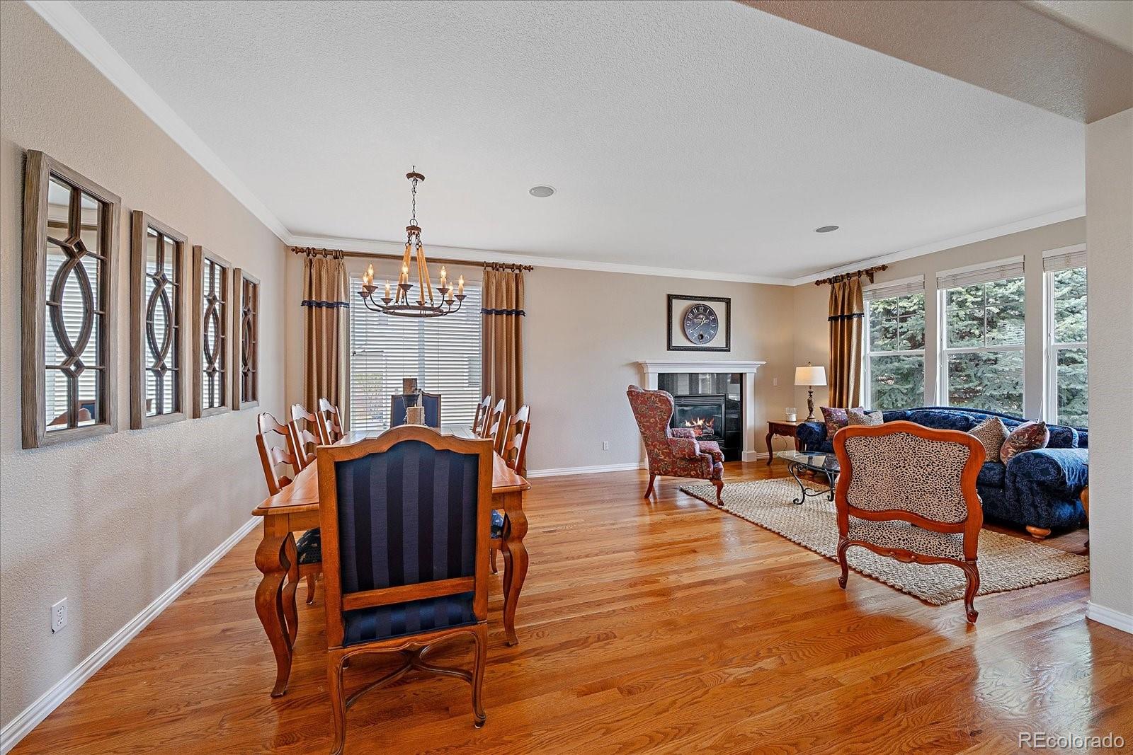 MLS Image #4 for 10811  chadsworth point,highlands ranch, Colorado