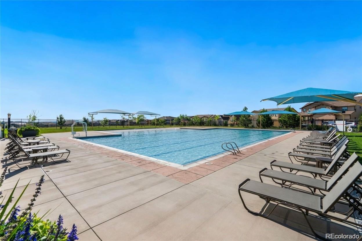 MLS Image #40 for 8742  flattop street,arvada, Colorado
