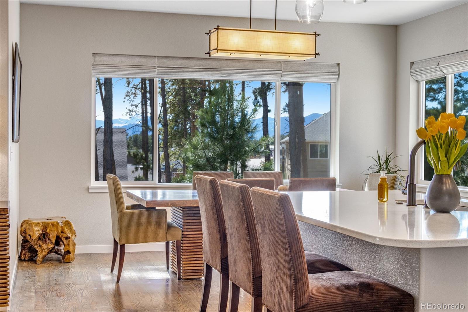 MLS Image #17 for 16406  dancing bear lane,monument, Colorado