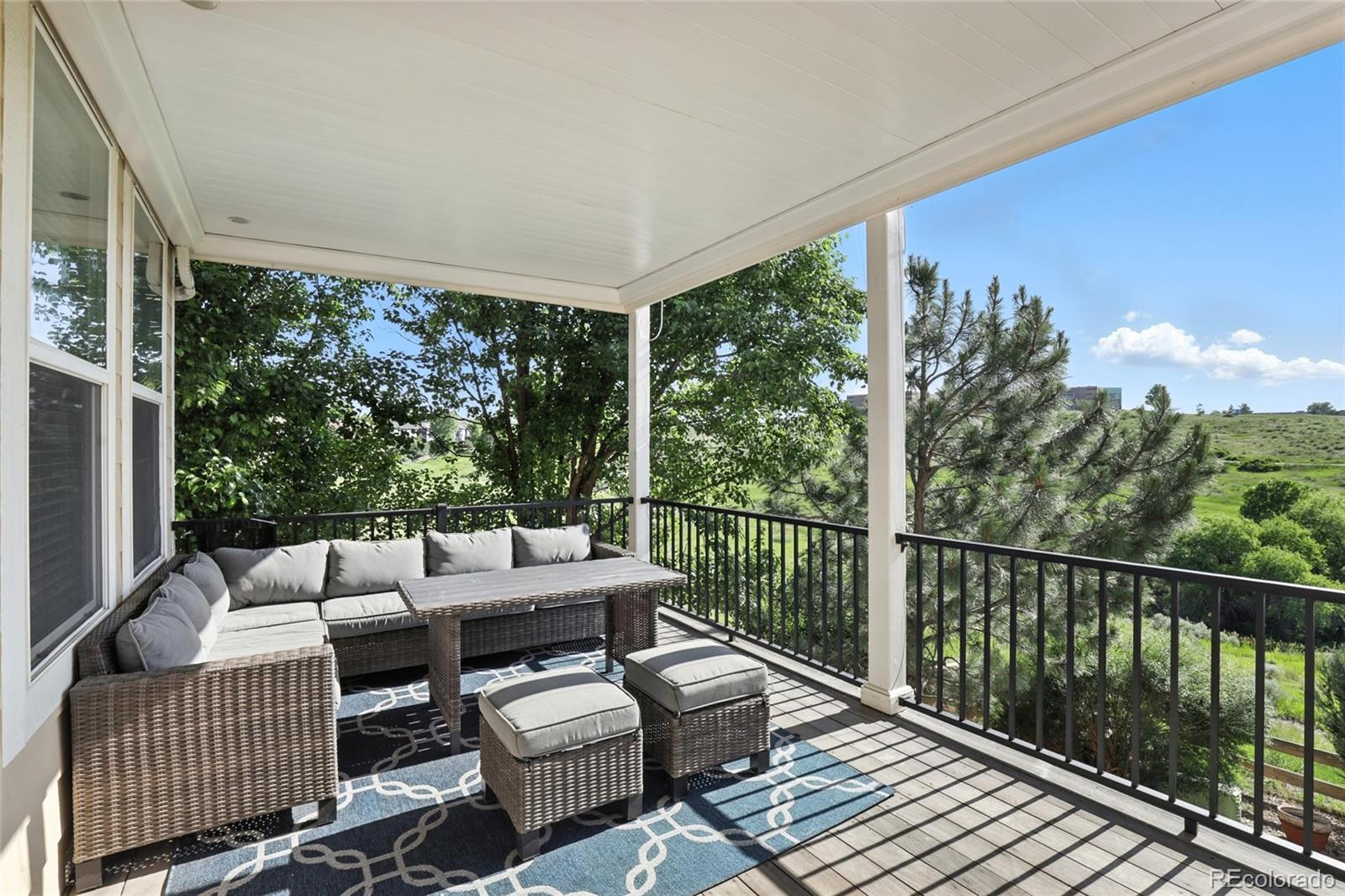 MLS Image #18 for 10601  chadsworth lane,highlands ranch, Colorado