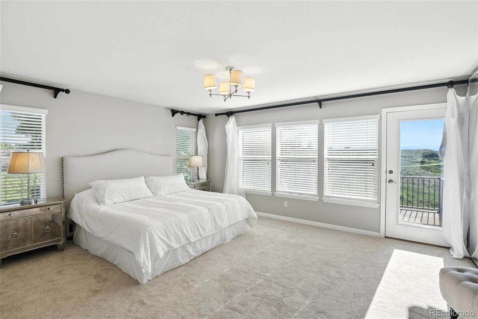 MLS Image #30 for 10601  chadsworth lane,highlands ranch, Colorado