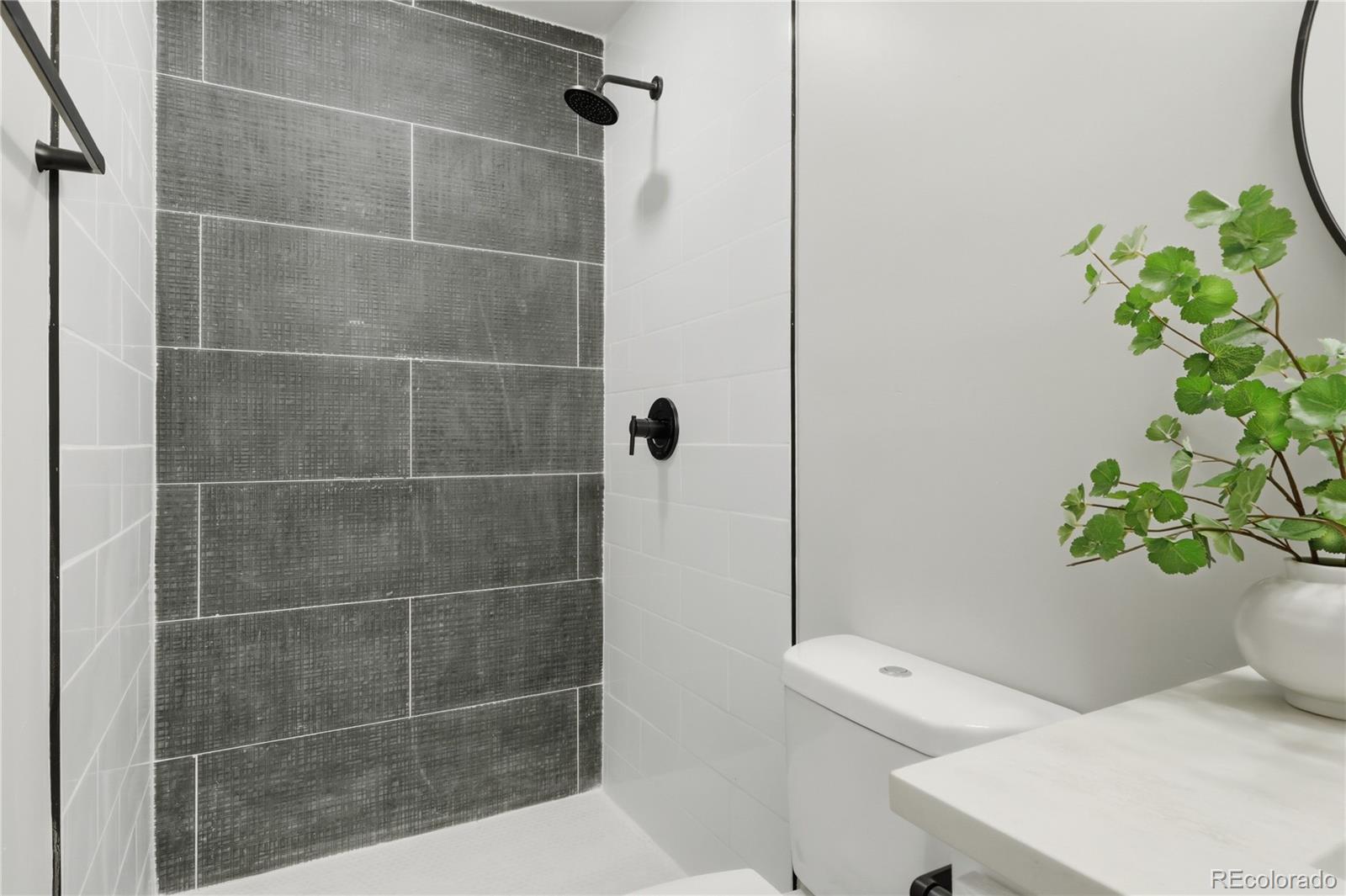 MLS Image #21 for 2732 s downing circle,denver, Colorado