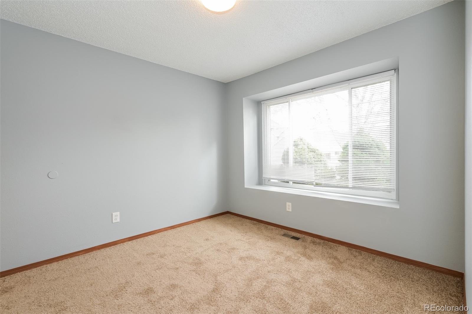 MLS Image #16 for 4063 s himalaya way,aurora, Colorado