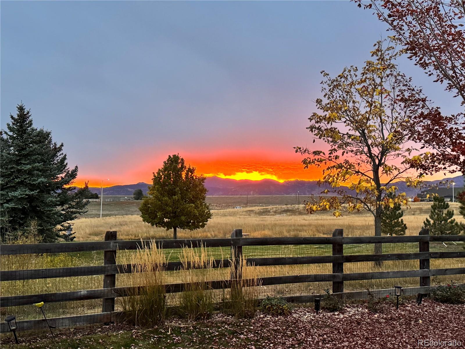 MLS Image #48 for 14186 w 90th place,arvada, Colorado
