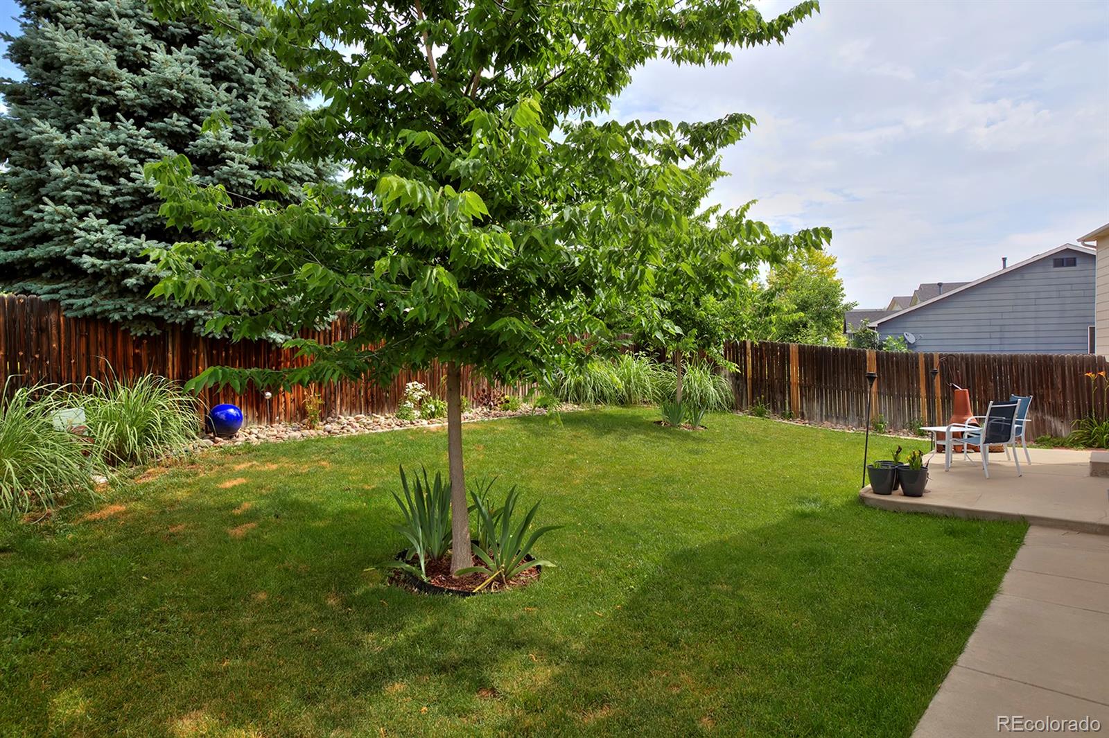 MLS Image #40 for 13441  cherry street,thornton, Colorado