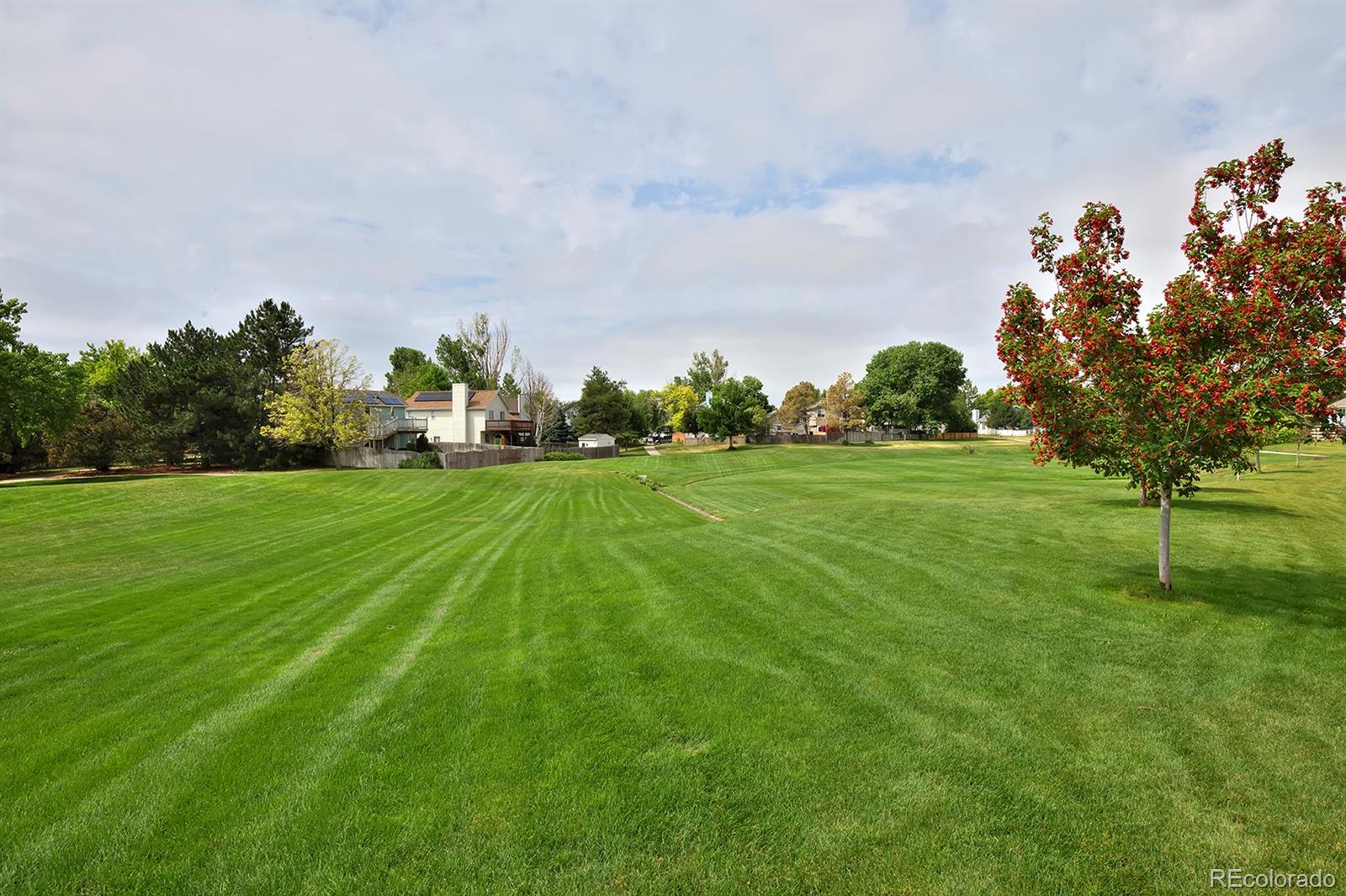 MLS Image #43 for 13441  cherry street,thornton, Colorado
