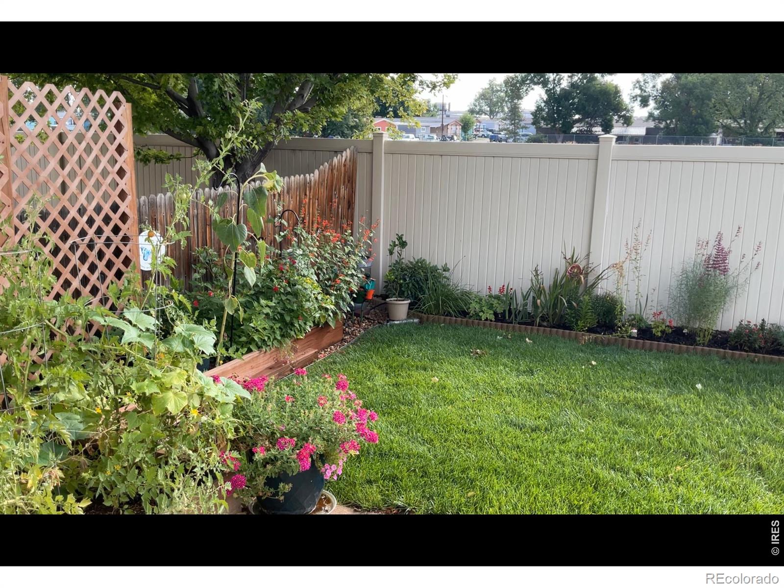 MLS Image #19 for 10450  lower ridge road,longmont, Colorado