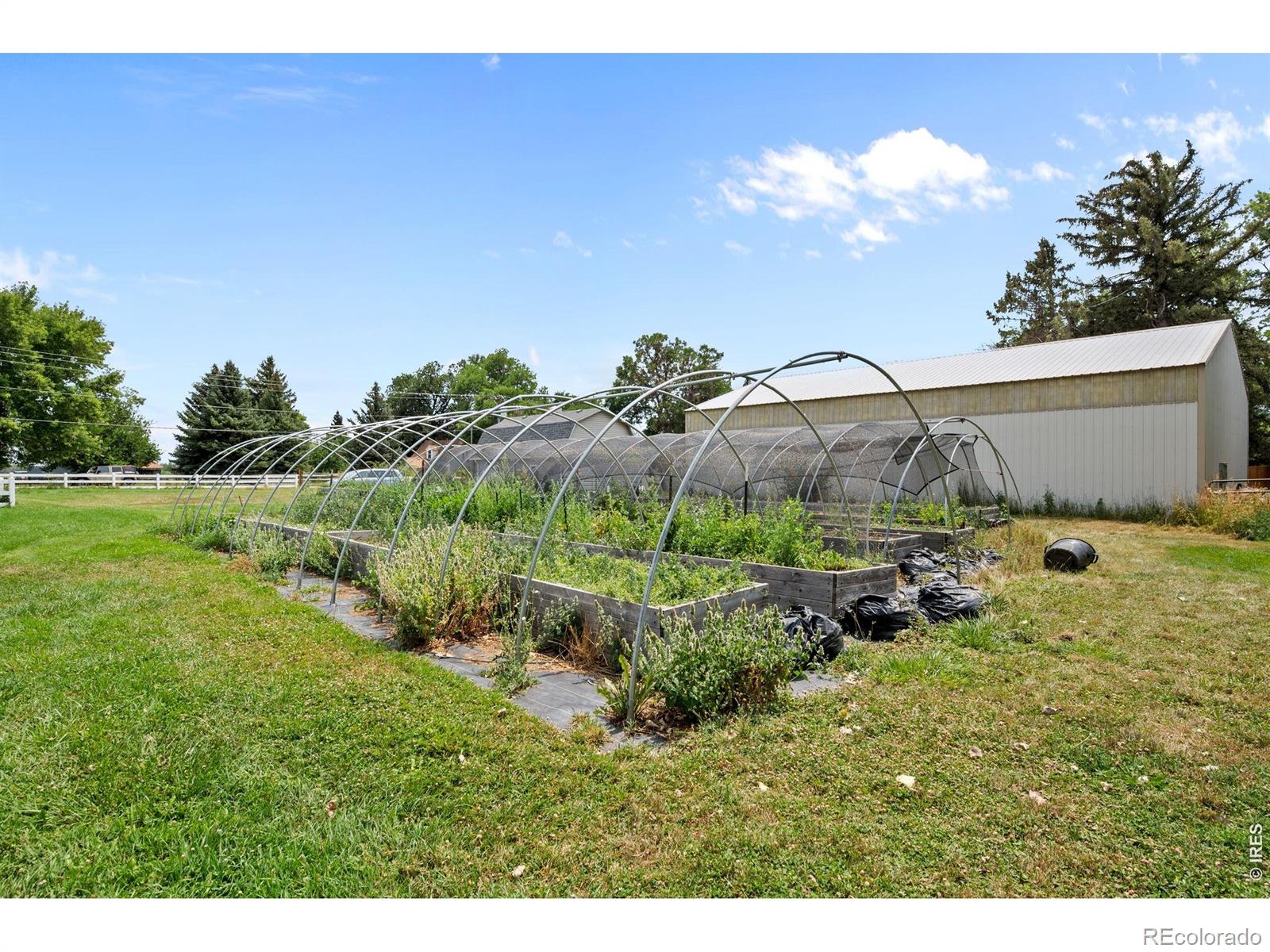 MLS Image #16 for 12745 n 66th street,longmont, Colorado