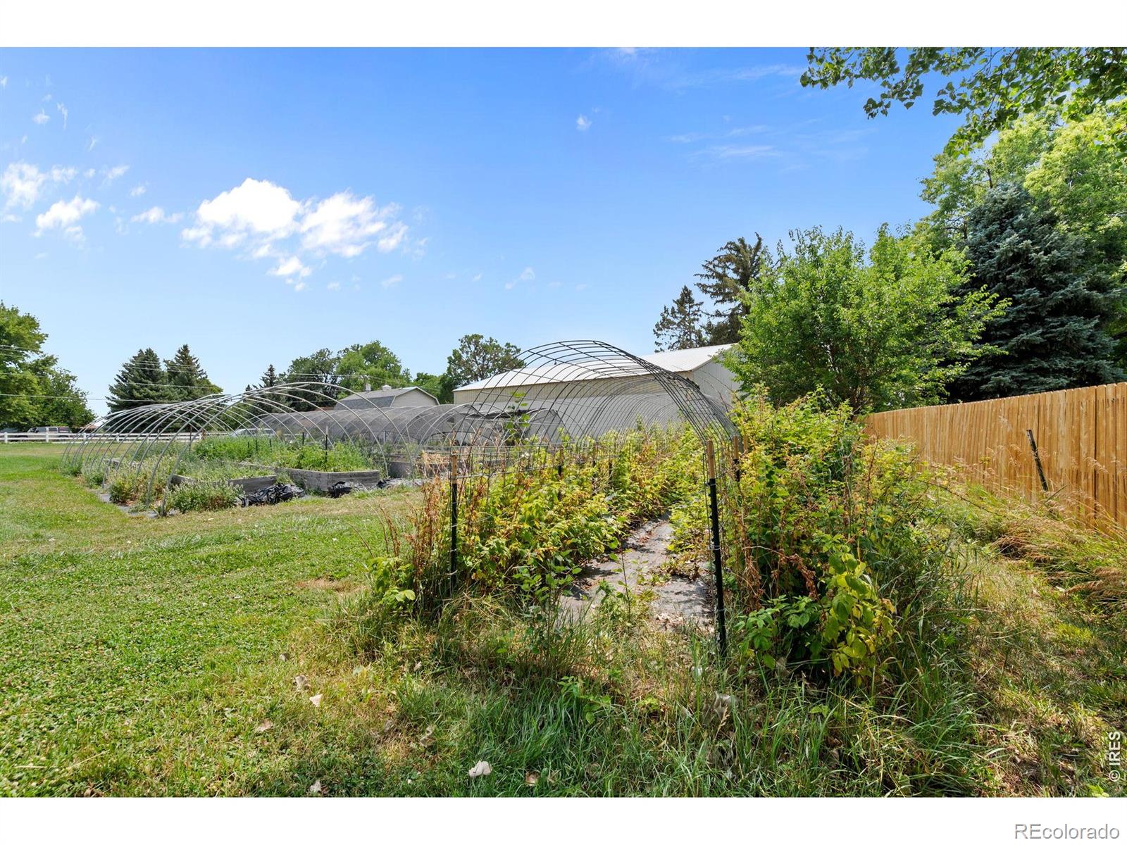 MLS Image #19 for 12745 n 66th street,longmont, Colorado