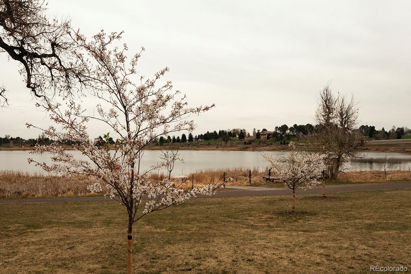 MLS Image #35 for 4544  vrain street,denver, Colorado