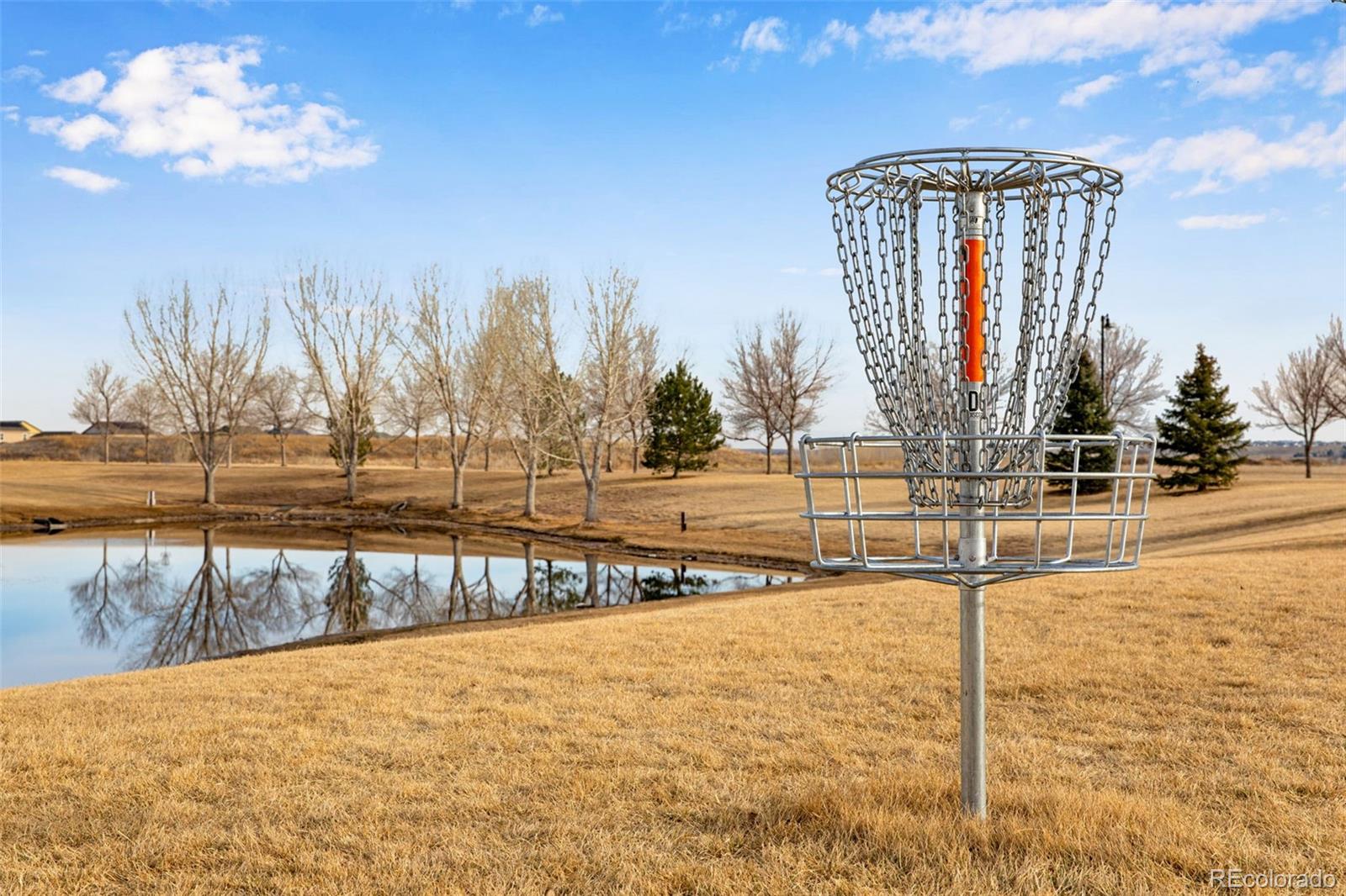 MLS Image #49 for 5728  connor street,timnath, Colorado