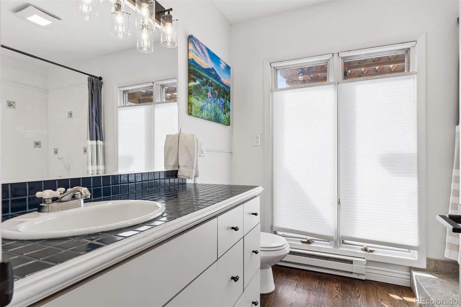 MLS Image #31 for 2684 s adams street,denver, Colorado