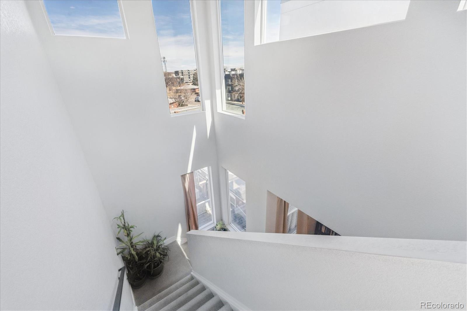 MLS Image #13 for 1583  grove street 2,denver, Colorado