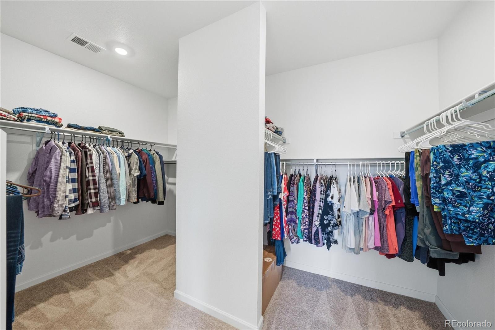 MLS Image #26 for 5559  hickory oaks trail,castle rock, Colorado