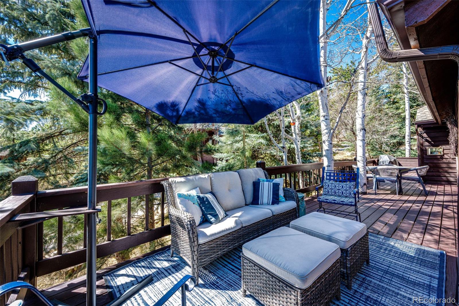 MLS Image #33 for 4257  troutdale village drive,evergreen, Colorado