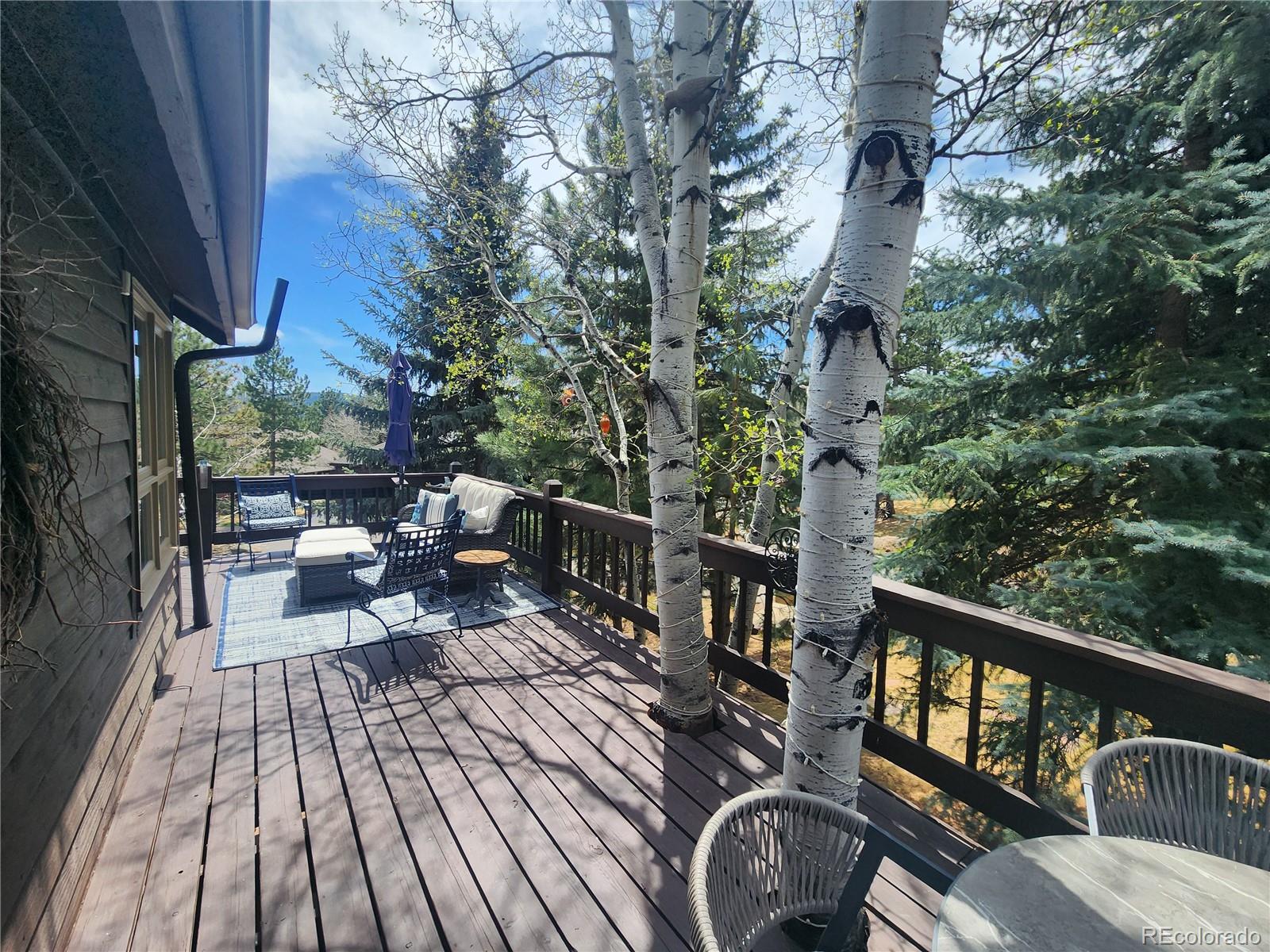 MLS Image #37 for 4257  troutdale village drive,evergreen, Colorado
