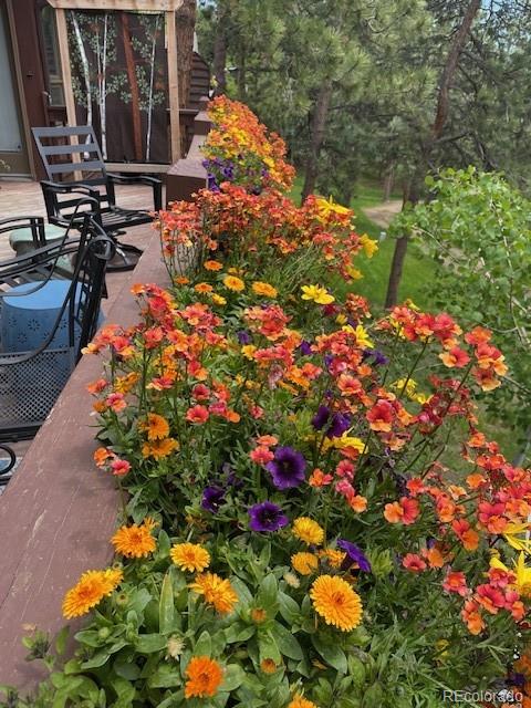 MLS Image #42 for 4257  troutdale village drive,evergreen, Colorado