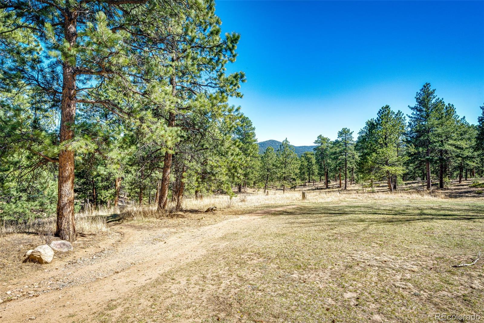 MLS Image #44 for 4257  troutdale village drive,evergreen, Colorado