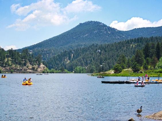 MLS Image #48 for 4257  troutdale village drive,evergreen, Colorado