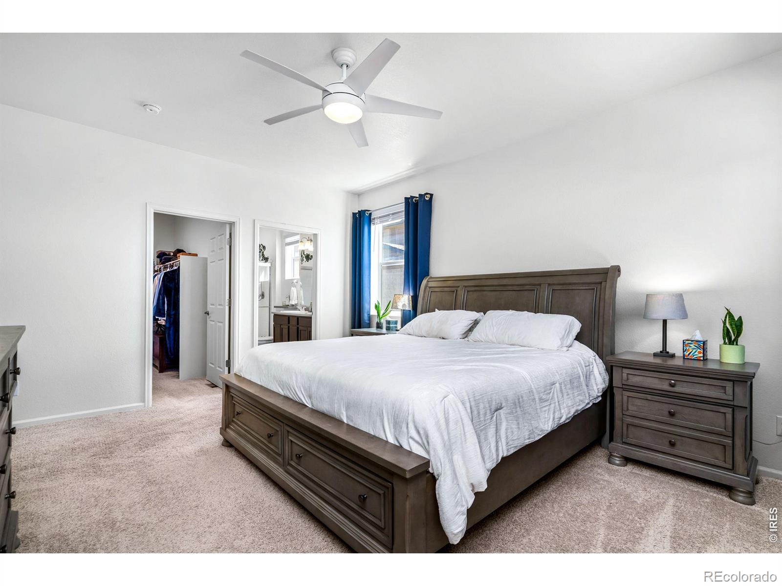 MLS Image #18 for 1668  gratton court,windsor, Colorado