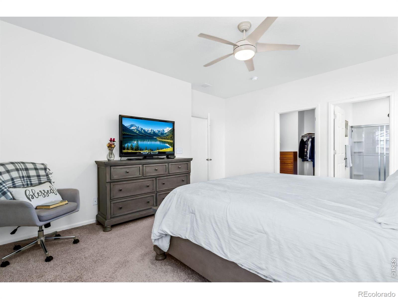 MLS Image #20 for 1668  gratton court,windsor, Colorado