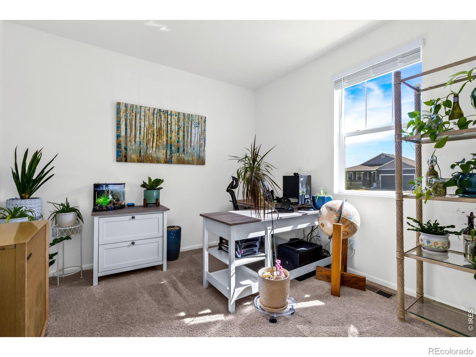 MLS Image #27 for 1668  gratton court,windsor, Colorado